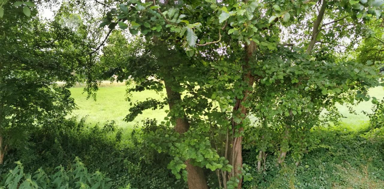 Gemuetliches Ferienhaus "An Der Schilde" In Renzow المظهر الخارجي الصورة